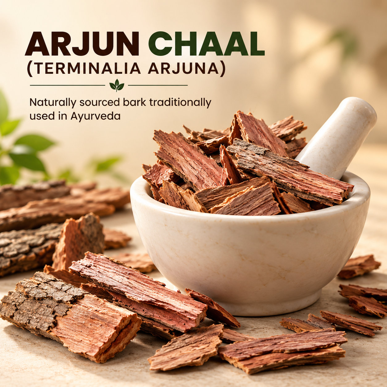 Arjun Chaal (Terminalia Arjuna) raw bark pieces in a premium ceramic mortar and pestle, presented on a warm beige background with Ayurvedic styling.