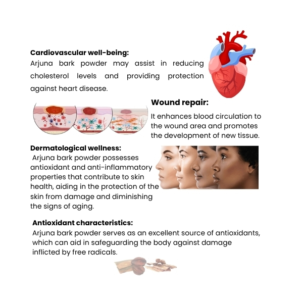 arjuna product image 2 arjuna product image 2