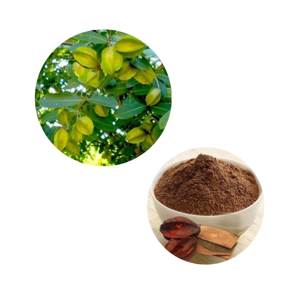 arjuna product image arjuna product image