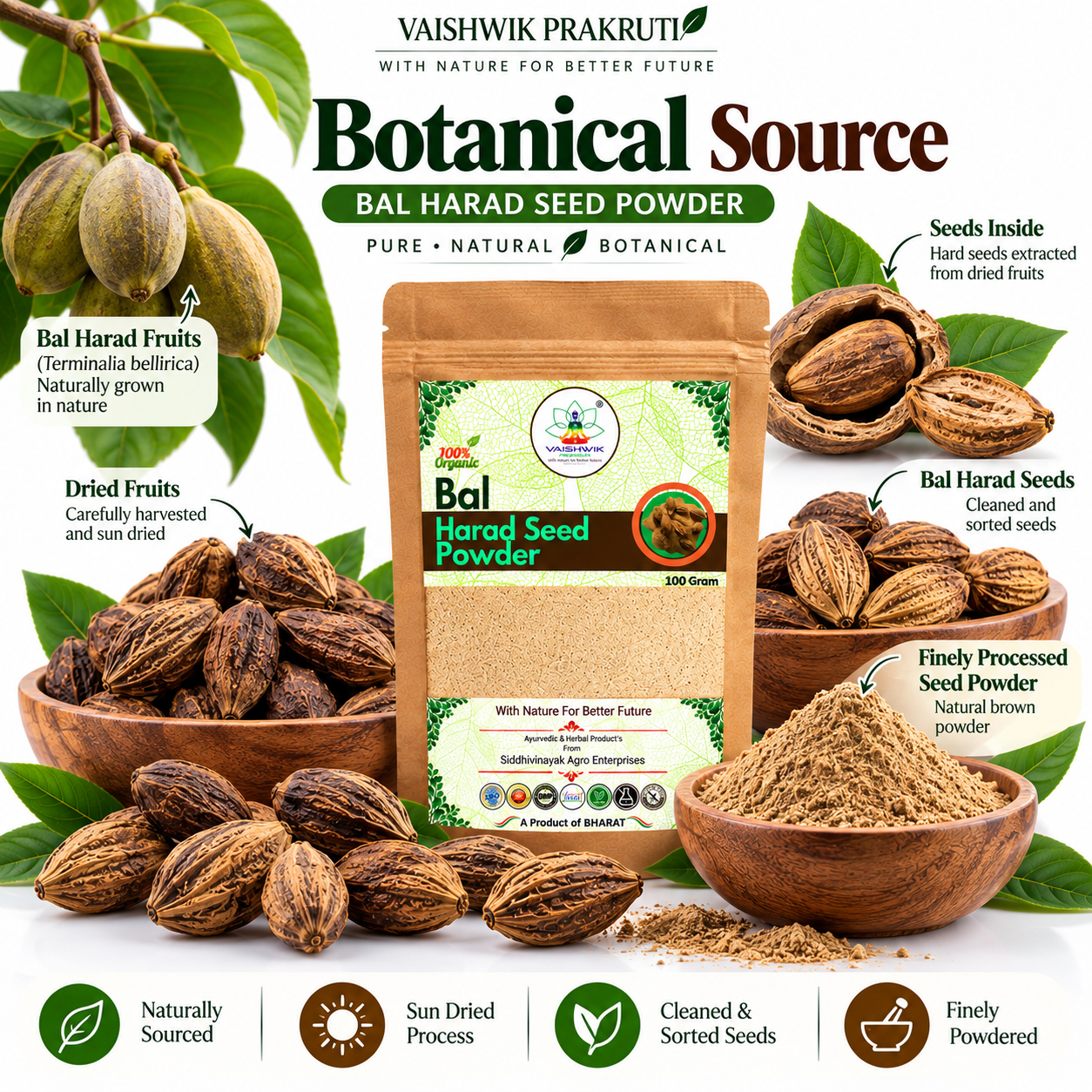 Vaishwik Prakruti Bal Harad Seed Powder 100g showing Bal Harad fruits, seeds and botanical source