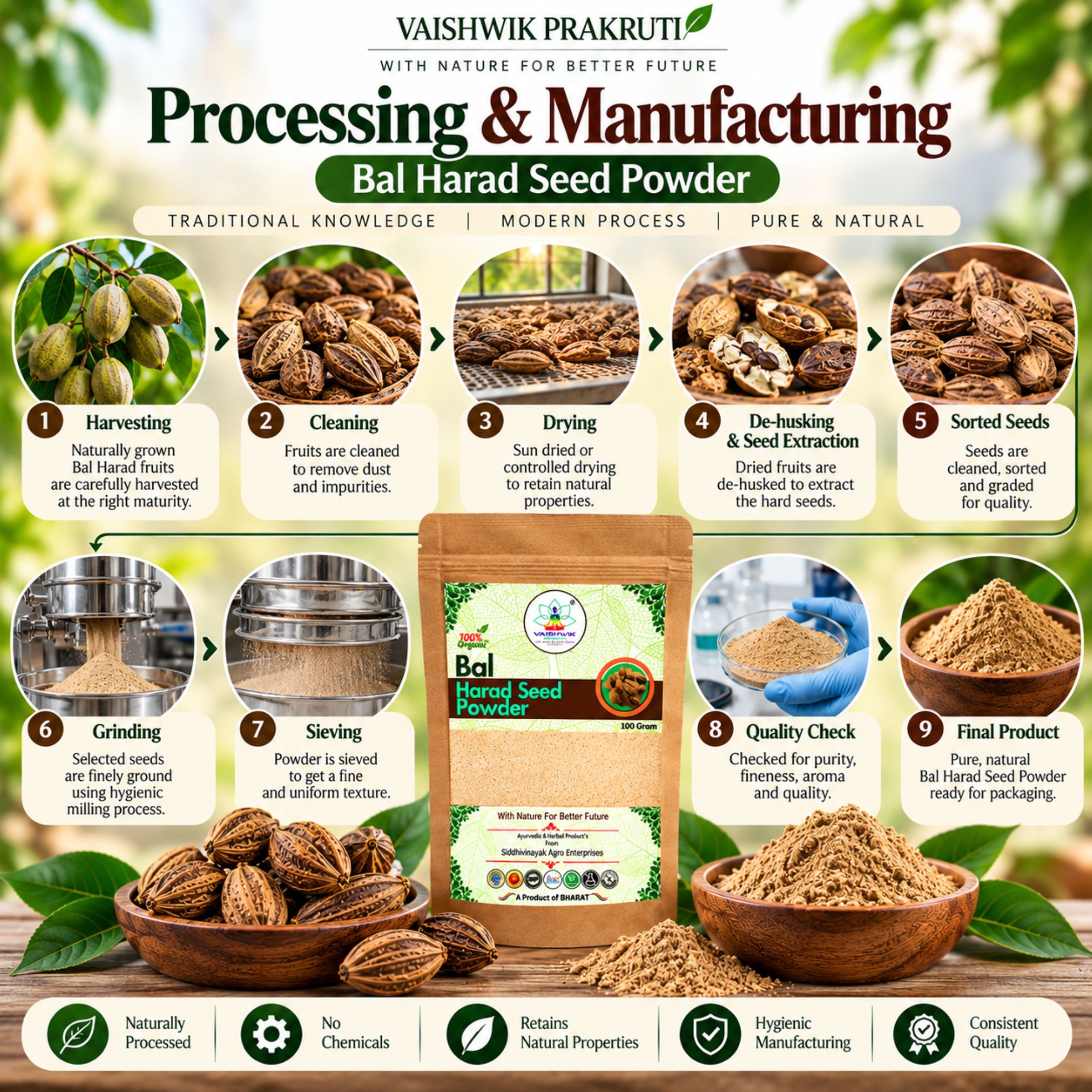 Vaishwik Prakruti Bal Harad Seed Powder 100g showing Bal Harad fruits, seeds and botanical source
