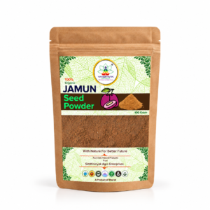 Vaishwik Prakruti Jamun Seed Powder 100 Gram pouch on a clean white background