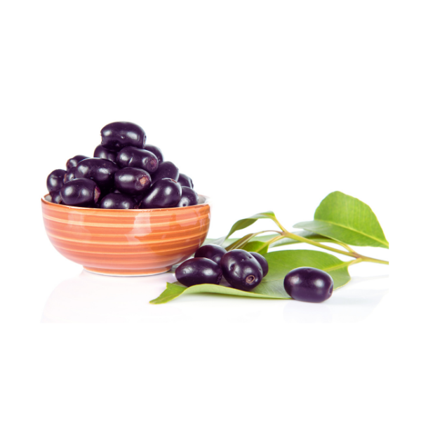 organic jamun powder (syzygium cumini) | natural blood sugar support 100% Jamun Powder – Syzygium Cumini Natural Supplement
