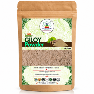 Vaishwik Prakruti Giloy Powder 100 Gram kraft pouch on white background