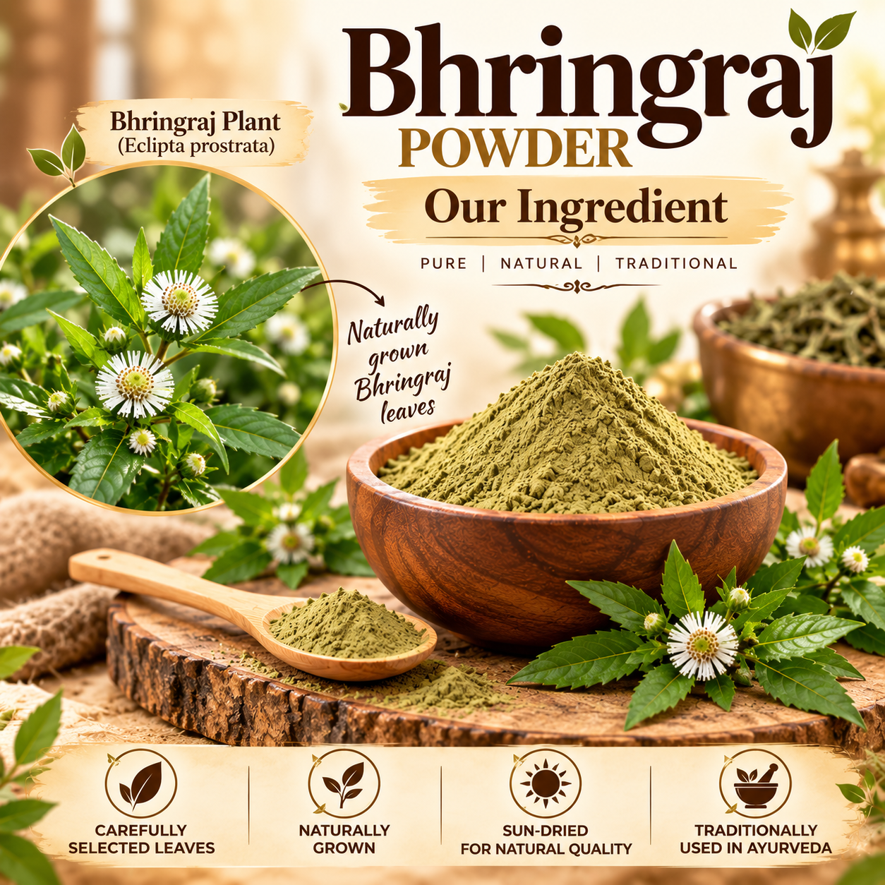Bhringraj Powder made from Bhringraj leaves (Eclipta prostrata), shown with fresh leaves and flowers in a traditional Ayurvedic setting