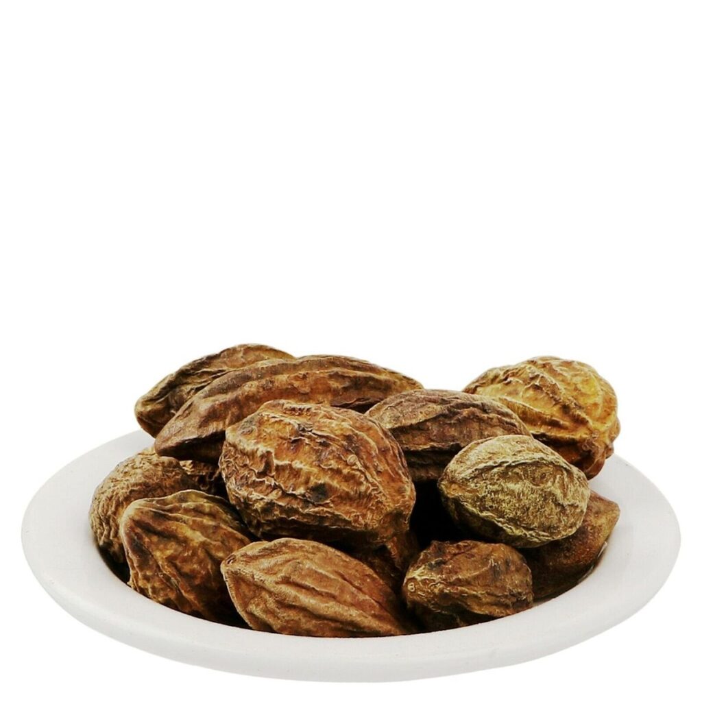 Terminalia chebula