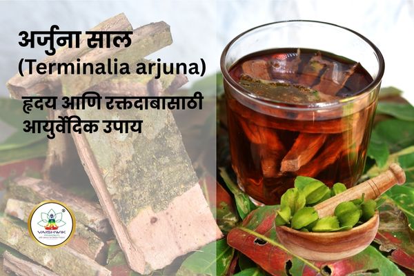 अर्जुनच्या सालाची पावडर – हृदय आरोग्यासाठी आयुर्वेदिक औषध