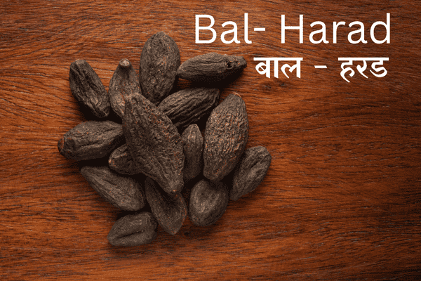 Bal Harad Powder – Ayurvedic herbal powder for digestion and detox