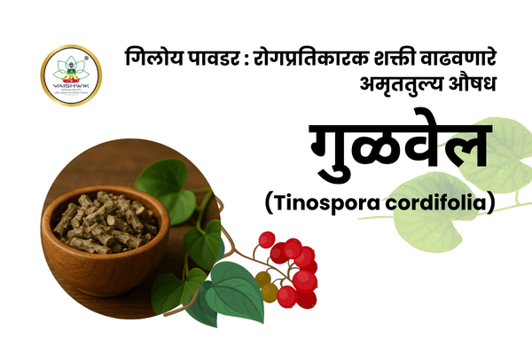 गिलोय पावडरचे फायदे