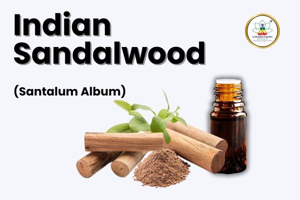 Premium Indian Sandalwood essential oil in an amber dropper bottle placed on a natural wooden surface with warm earthy lighting.