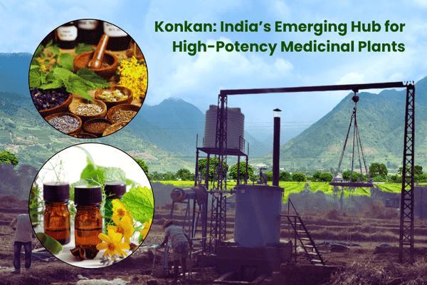 konkan india’s emerging hub for high potency medicinal plants