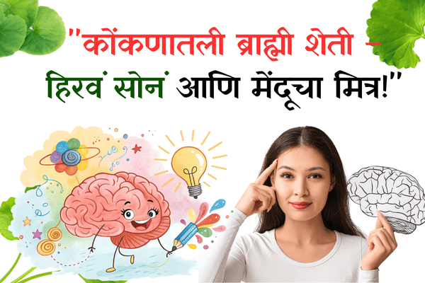 कोंकणातली ब्राह्मी शेती – हिरवं सोनं आणि मेंदूचा मित्र!