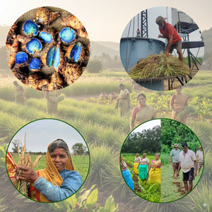 Organic Farming
