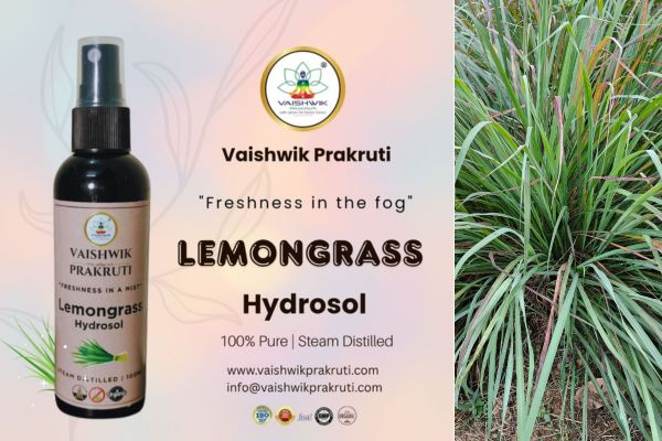 lemongrass oil and hydrosol blog image