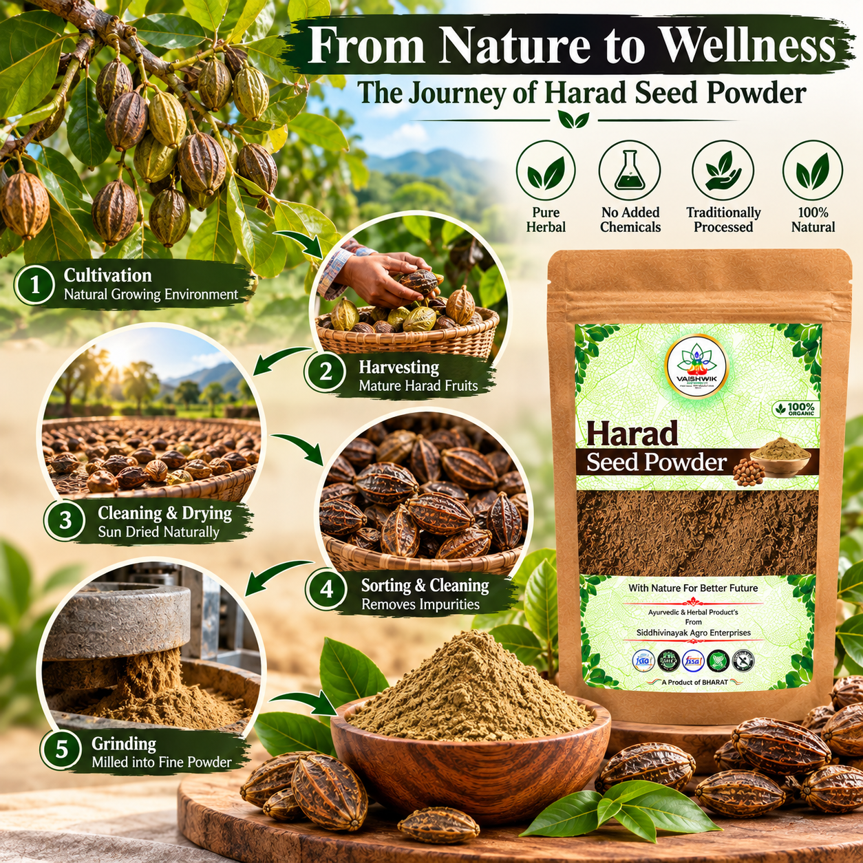 From Nature to Wellness infographic showing the Harad Seed Powder journey from cultivation and harvesting to drying, sorting, cleaning, and grinding.
