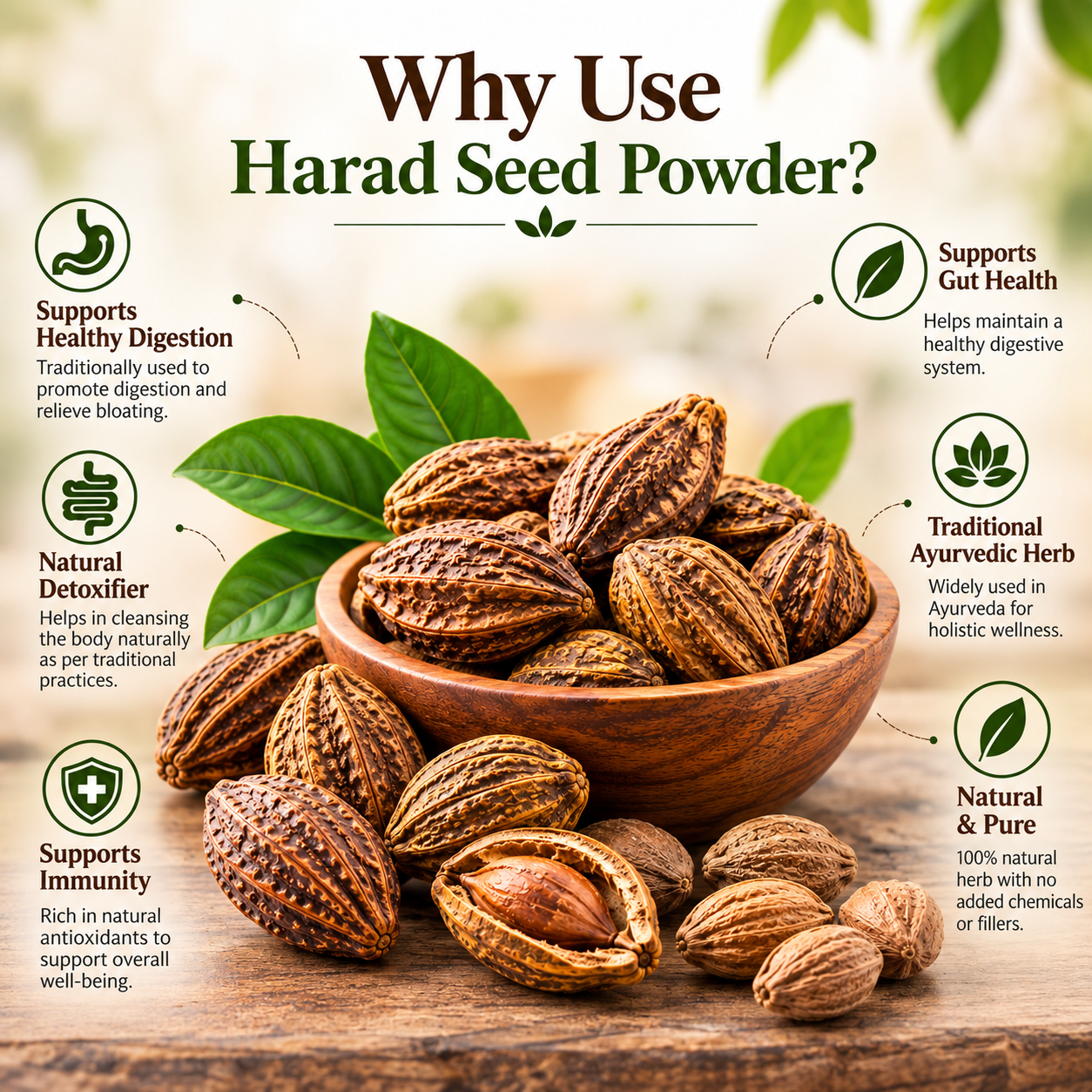 Why use Harad Seed Powder infographic featuring dried Harad fruits and leaves with traditional Ayurvedic wellness benefits.