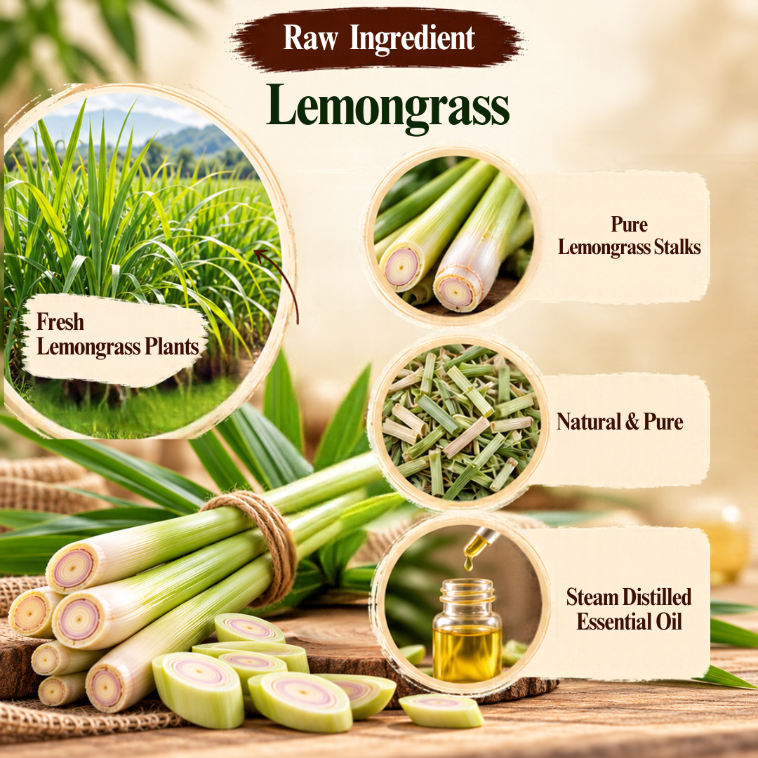 Lemongrass leaves used as raw botanical material for Vaishwik Prakruti Lemongrass Essential Oil 30 ml