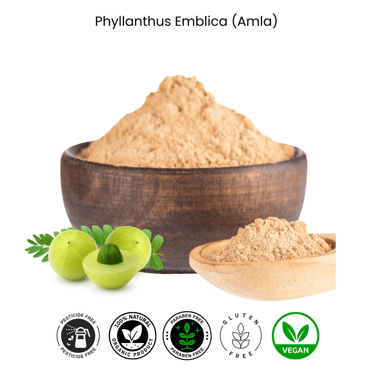 Premium Amla (Phyllanthus Emblica) Powder – Natural Vitamin C & Hair Tonic Pure Amla (Phyllanthus Emblica) Powder for Hair Growth and Immunity