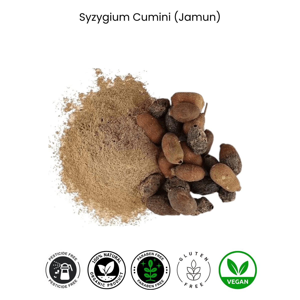 syzygium cumini (jamun) Jamun Powder (Syzygium Cumini)