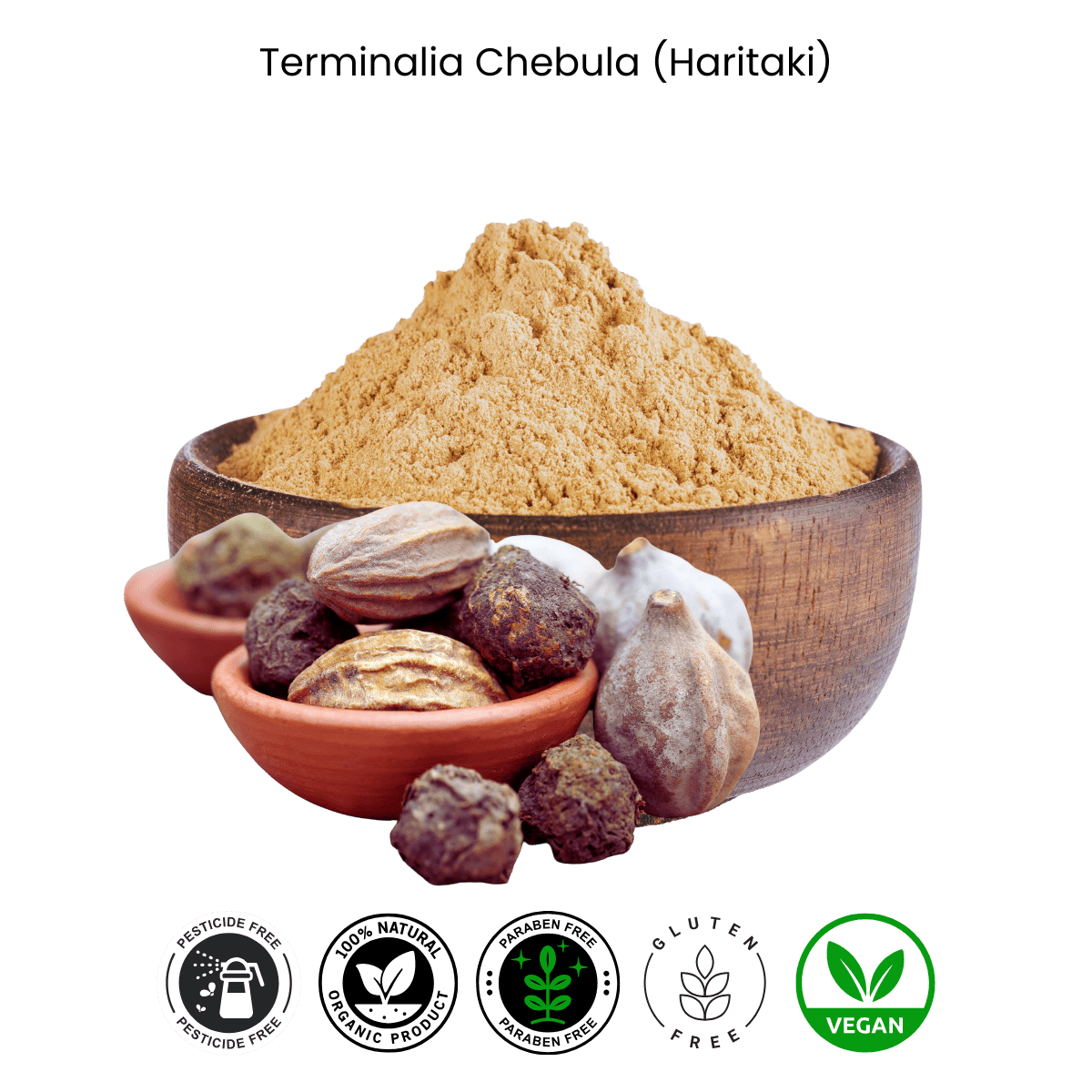 terminalia chebula (haritaki) terminalia chebula (haritaki)